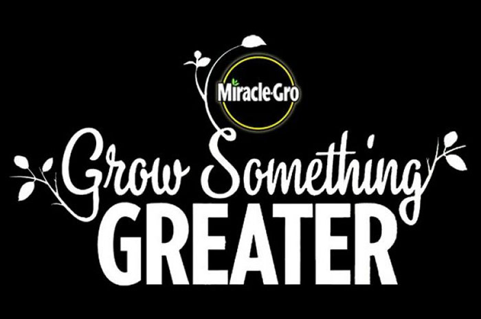 Miracle Gro Something Greater