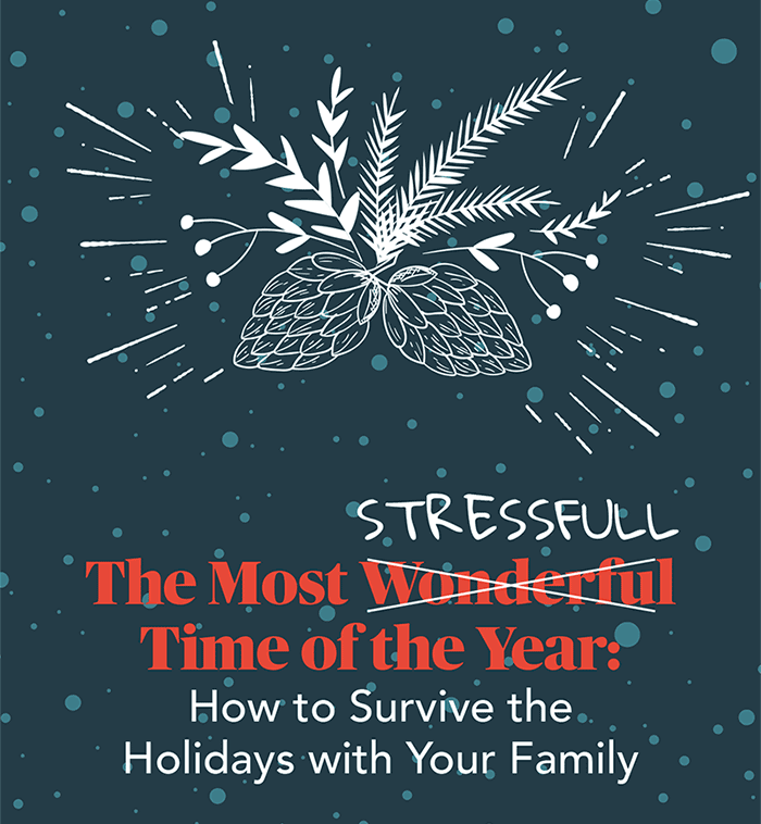 How to Survive the Holidays with your family ebook cover